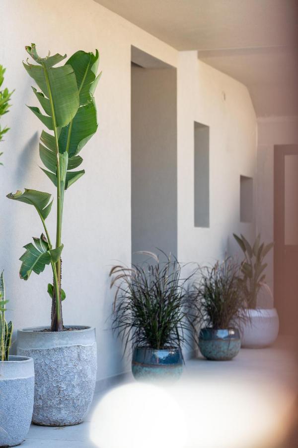 ארזח'ינה Villa Ilma Luxury Rooms מראה חיצוני תמונה